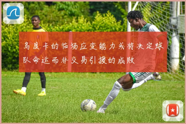 乌度卡的临场应变能力或将决定球队命运而非交易引援的成败