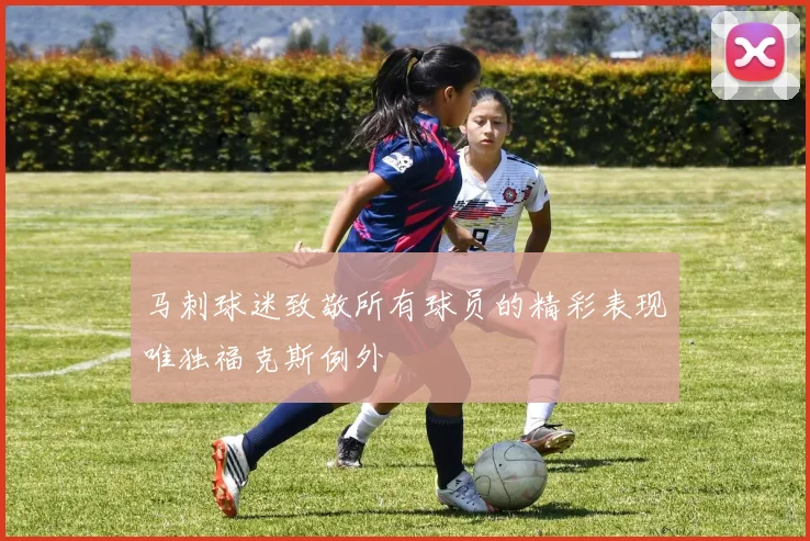 马刺球迷致敬所有球员的精彩表现唯独福克斯例外